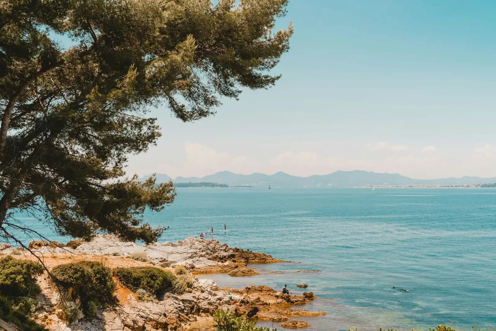 Panoramic view of the French Riviera from Antibes: parasol pine, turquoise sea and sunny coastline