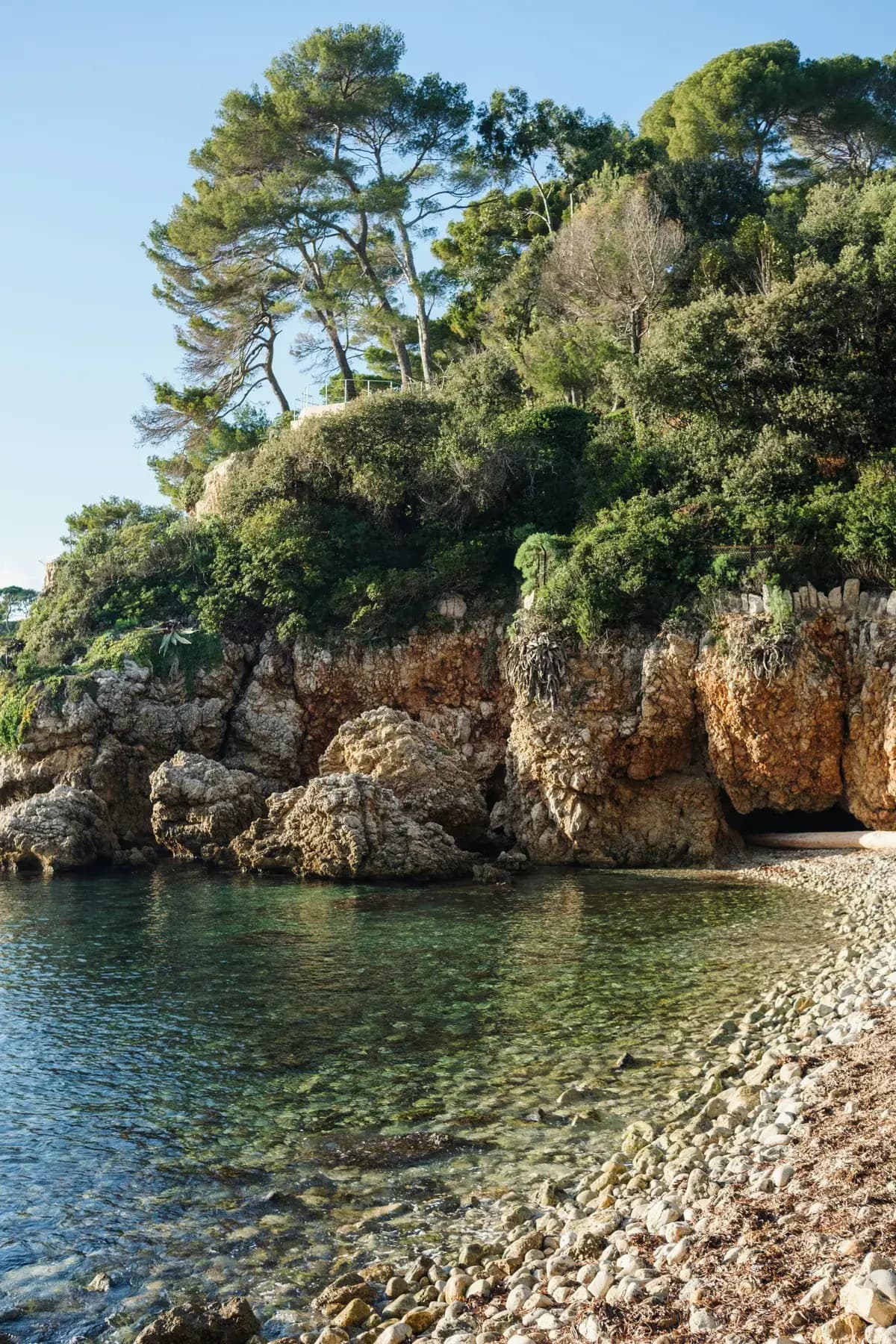 Crique méditerranéenne : pins parasols, rochers et eau turquoise en bord de mer